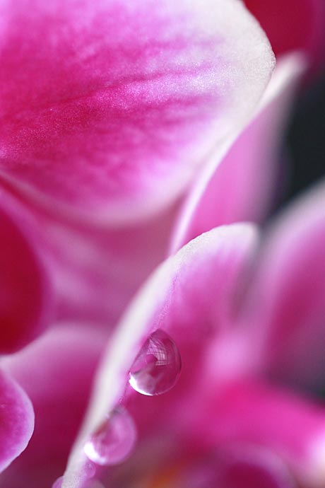 ファイル 2403-3.jpg