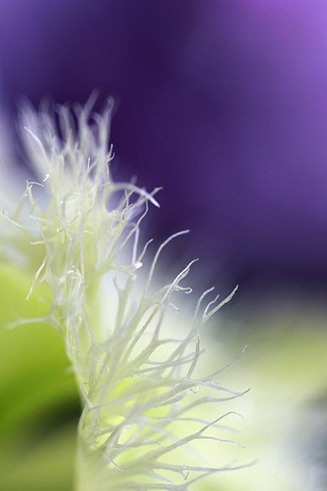 ファイル 2403-5.jpg