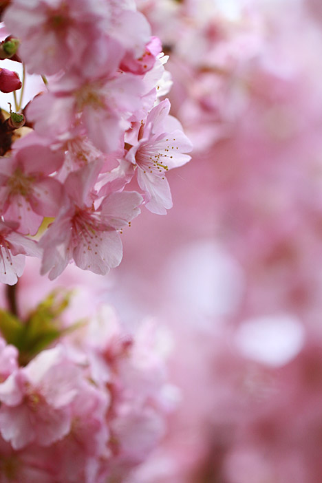 ファイル 2407-3.jpg