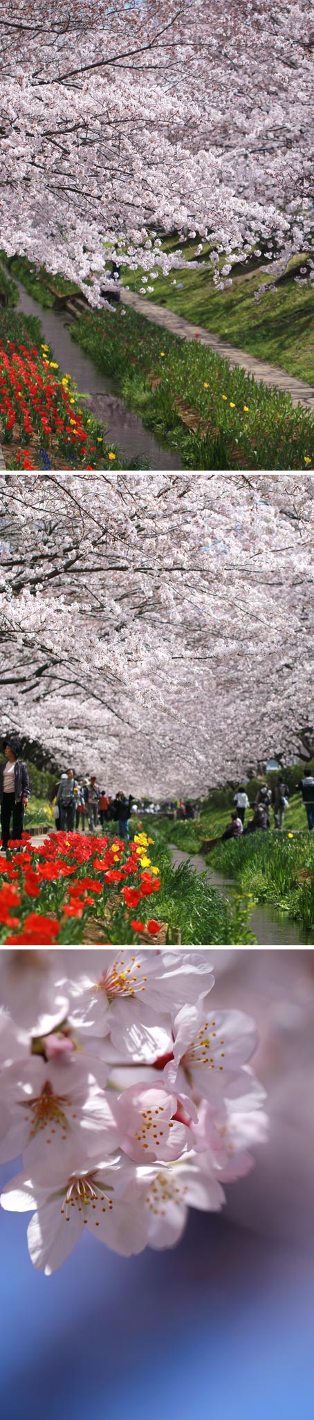 ファイル 2416-2.jpg