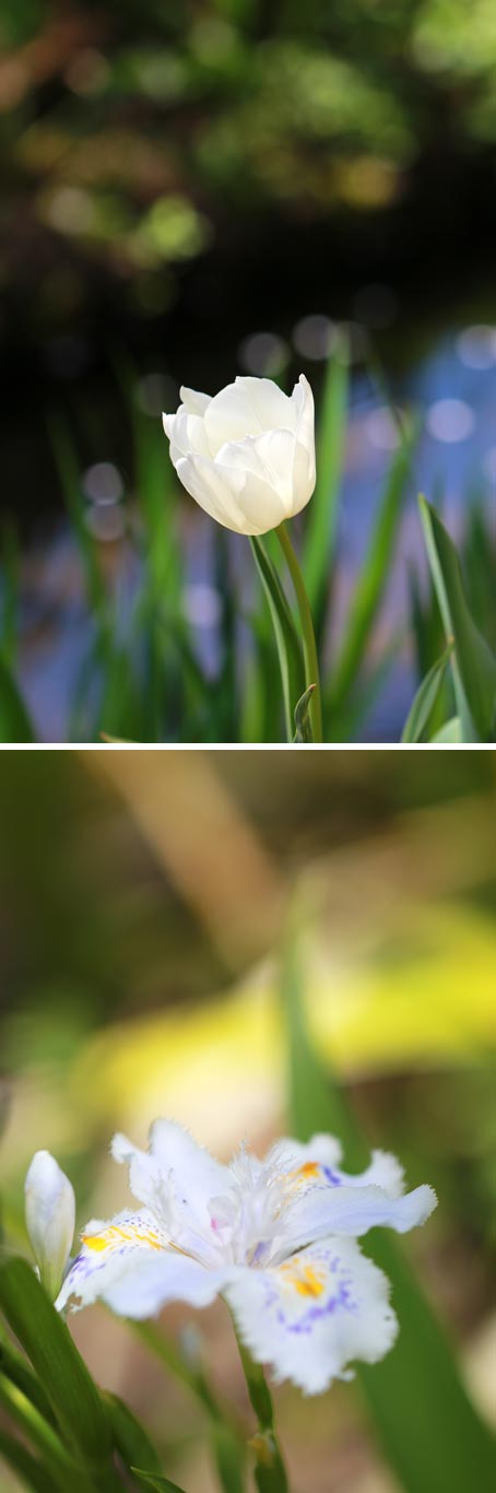 ファイル 2416-3.jpg