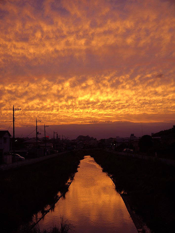 ファイル 2441-2.jpg