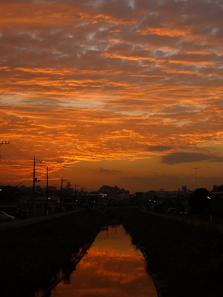 ファイル 2441-4.jpg