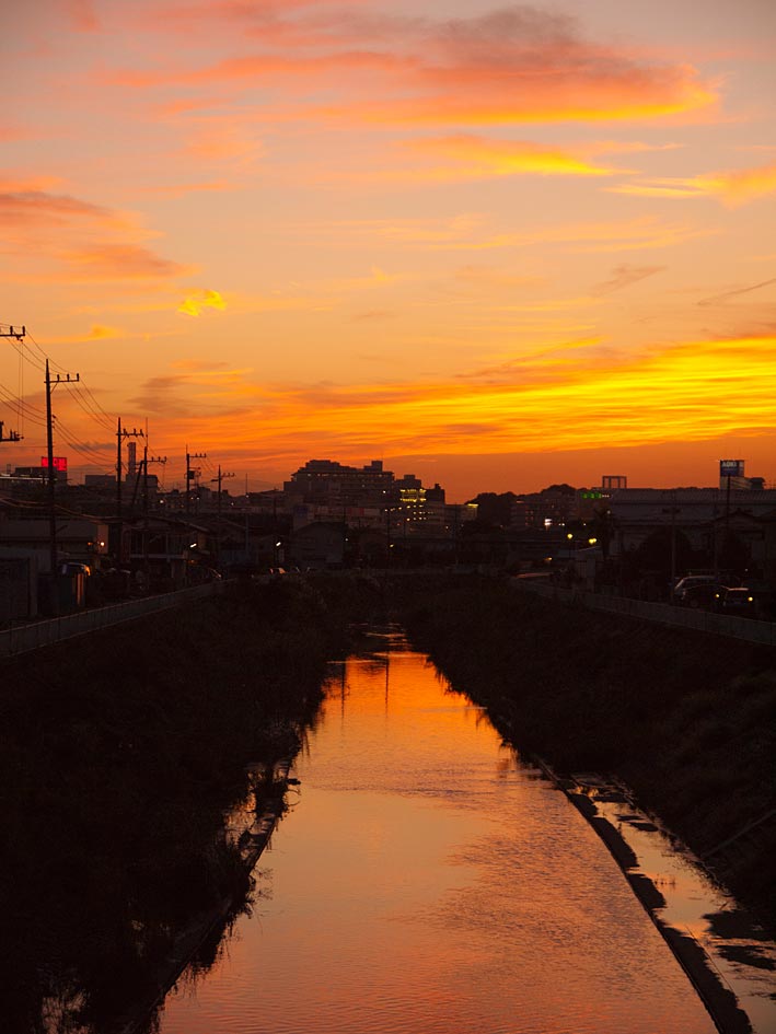 ファイル 2441-5.jpg