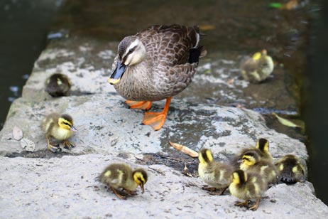 ファイル 2445-3.jpg