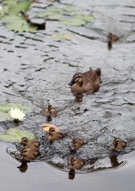 ファイル 2445-5.jpg