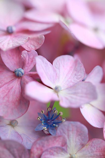 ファイル 2453-2.jpg