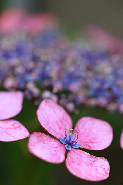 ファイル 2453-3.jpg