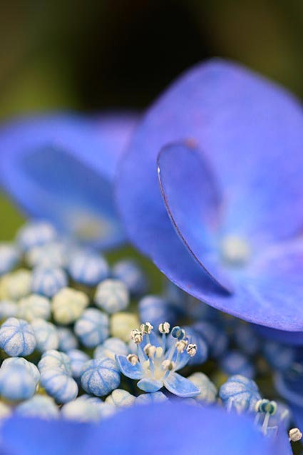 ファイル 2453-4.jpg