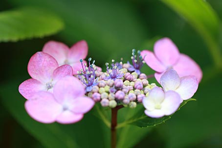 ファイル 2453-5.jpg