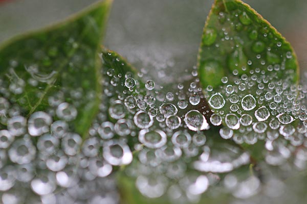 ファイル 2465-2.jpg