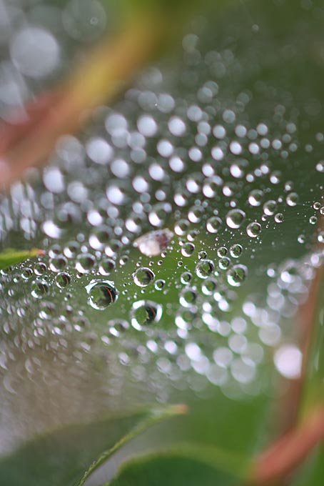 ファイル 2465-4.jpg