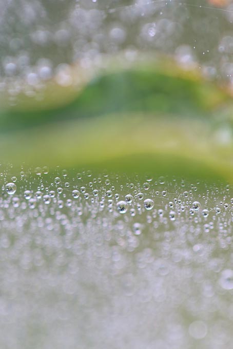 ファイル 2465-5.jpg