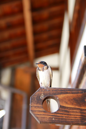 ファイル 2486-5.jpg