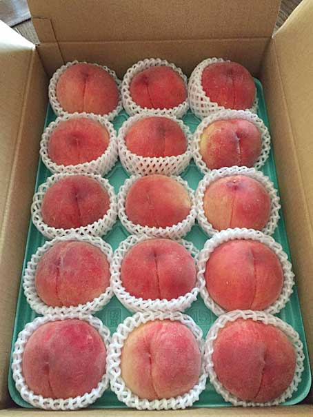 ファイル 2504-3.jpg