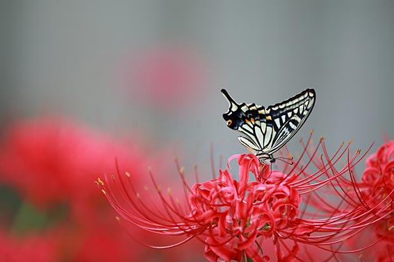 ファイル 2507-4.jpg