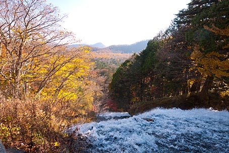 ファイル 2516-5.jpg