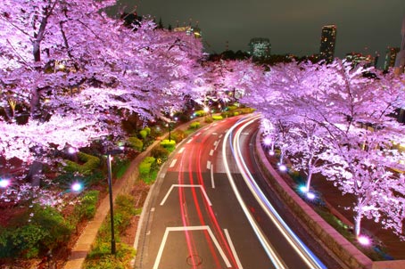 ファイル 2596-4.jpg