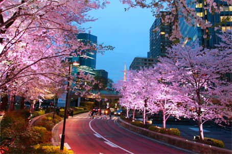 ファイル 2596-5.jpg