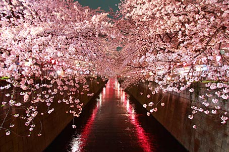 ファイル 2597-3.jpg