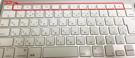 ファイル 2601-2.jpg