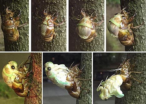 ファイル 2655-2.jpg