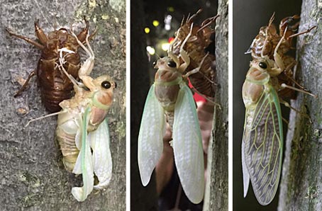 ファイル 2655-3.jpg