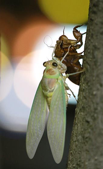 ファイル 2655-4.jpg