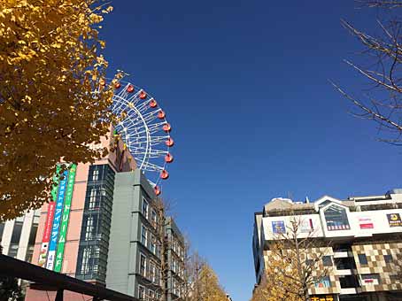 ファイル 2704-3.jpg