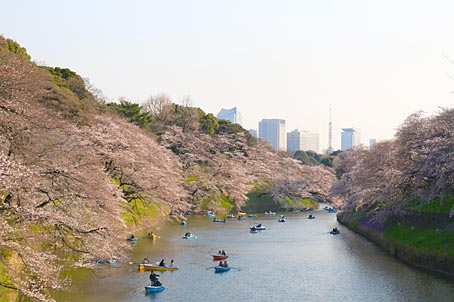 ファイル 2734-2.jpg