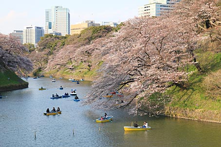 ファイル 2734-3.jpg