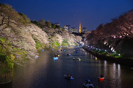 ファイル 2734-4.jpg