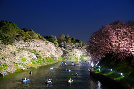 ファイル 2734-5.jpg