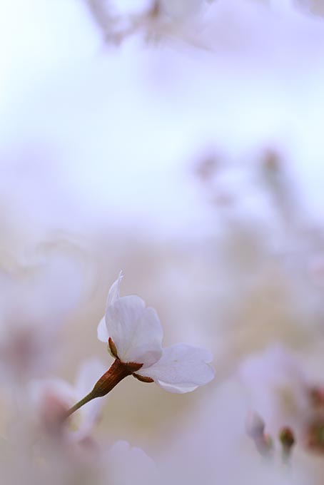 ファイル 2751-2.jpg