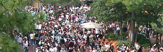 ファイル 276-2.jpg