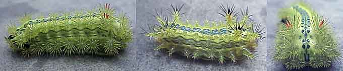 ファイル 286-1.jpg