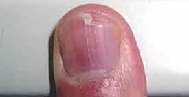 ファイル 320-1.jpg