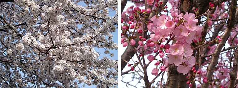 ファイル 381-2.jpg