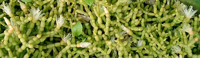 ファイル 406-2.jpg