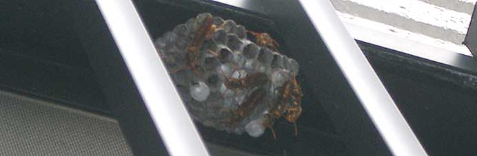 ファイル 434-1.jpg