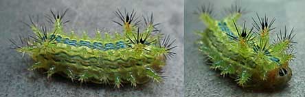 ファイル 452-1.jpg