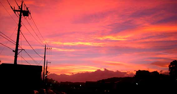 ファイル 468-1.jpg