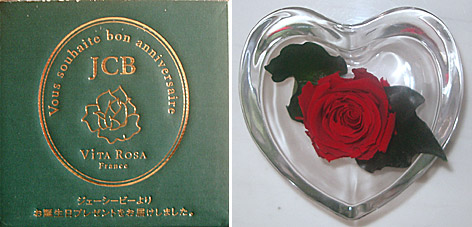 ファイル 542-1.jpg