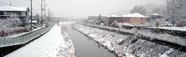 ファイル 571-1.jpg