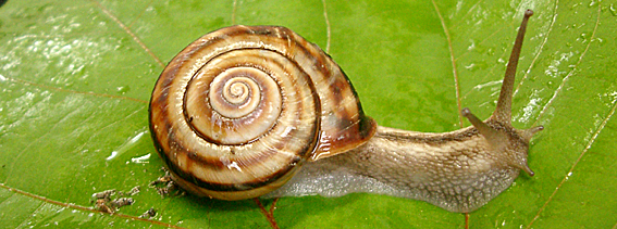 ファイル 670-2.jpg