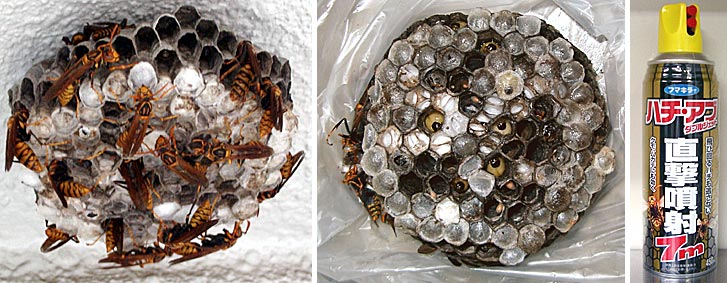 ファイル 736-2.jpg