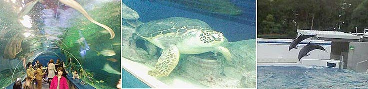 ファイル 808-1.jpg