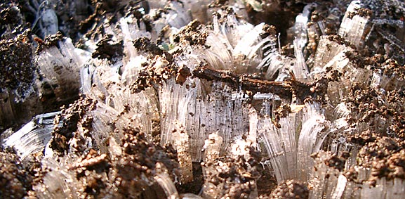 ファイル 818-1.jpg