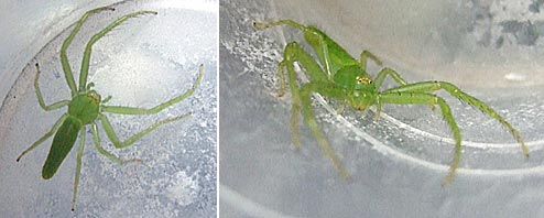 ファイル 919-1.jpg