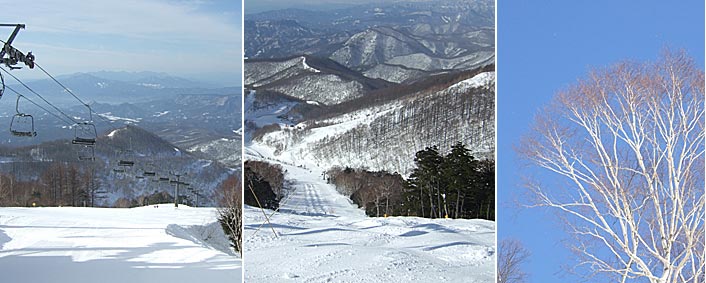 ファイル 997-1.jpg